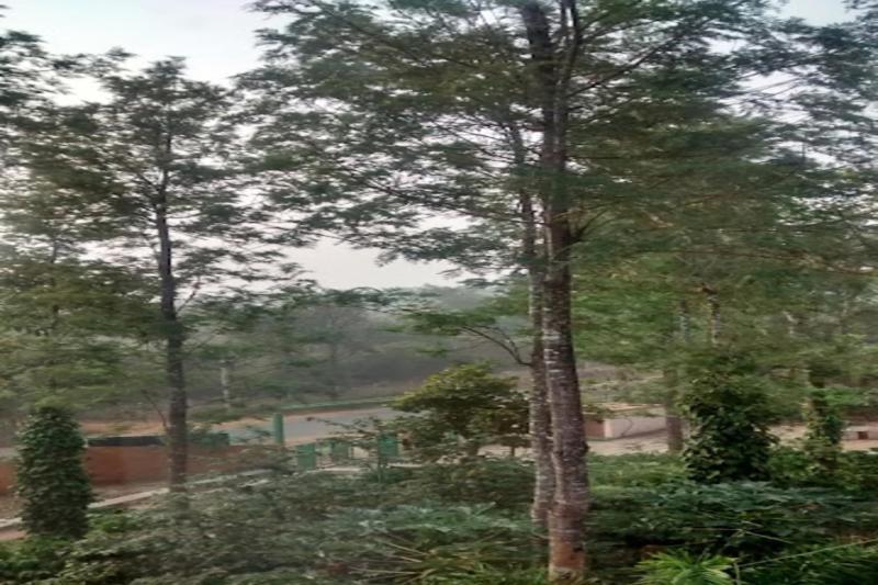 Nikhara Estate Resorts Kodlipet Exterior foto